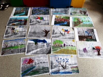 BDM: Książka na każdą porę roku – zajęcia edukacyjne. Kolorowy świat owadów