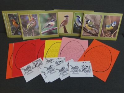 BDM: Książka na każdą porę roku – Zwiastuny wiosny