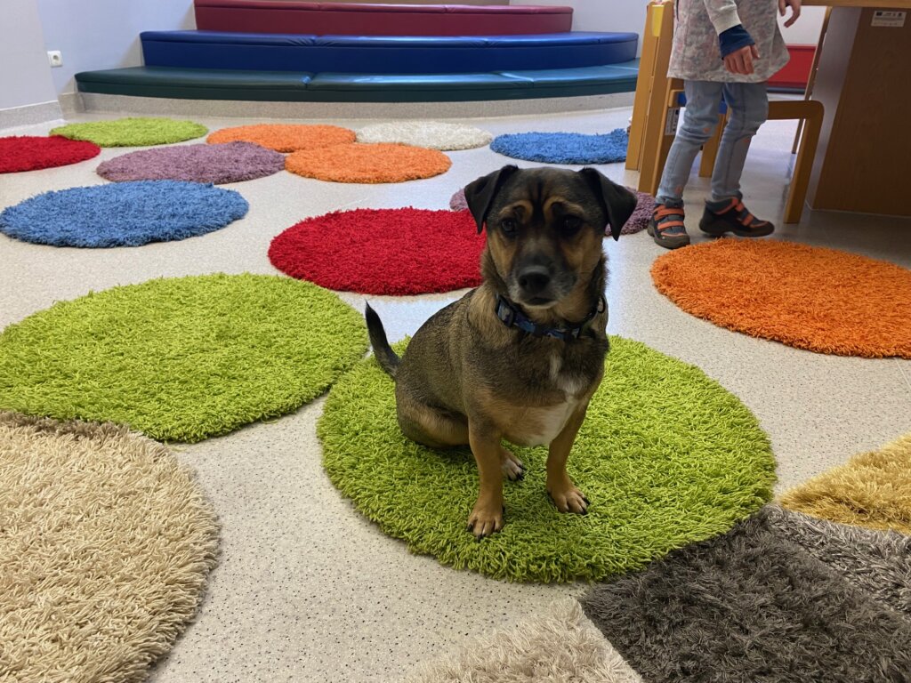 BDM: Spotkanie autorskie z Martą Maj i Precelkiem